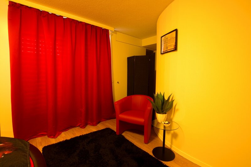 Studio Iron Elvetia, penthouse in inima orasului Luzern