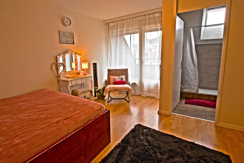 Studio Iron Elvetia, penthouse in inima orasului Luzern